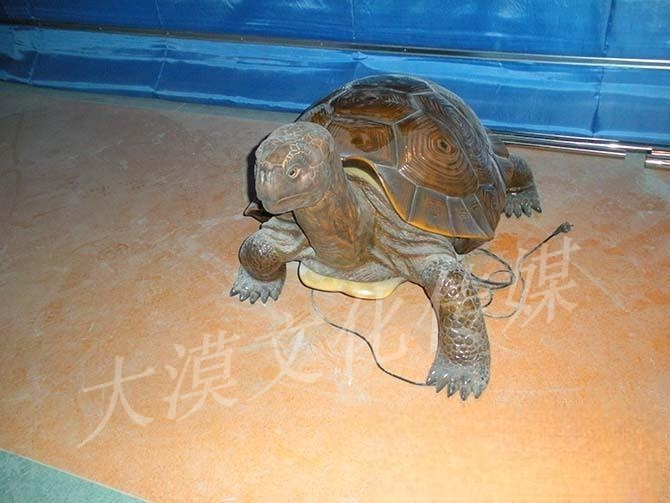乌龟