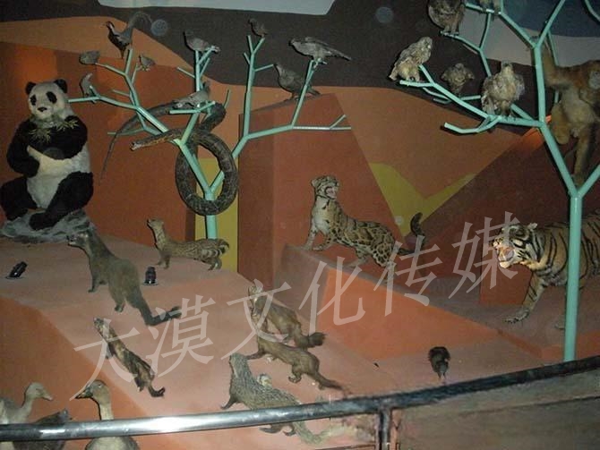 科技模型